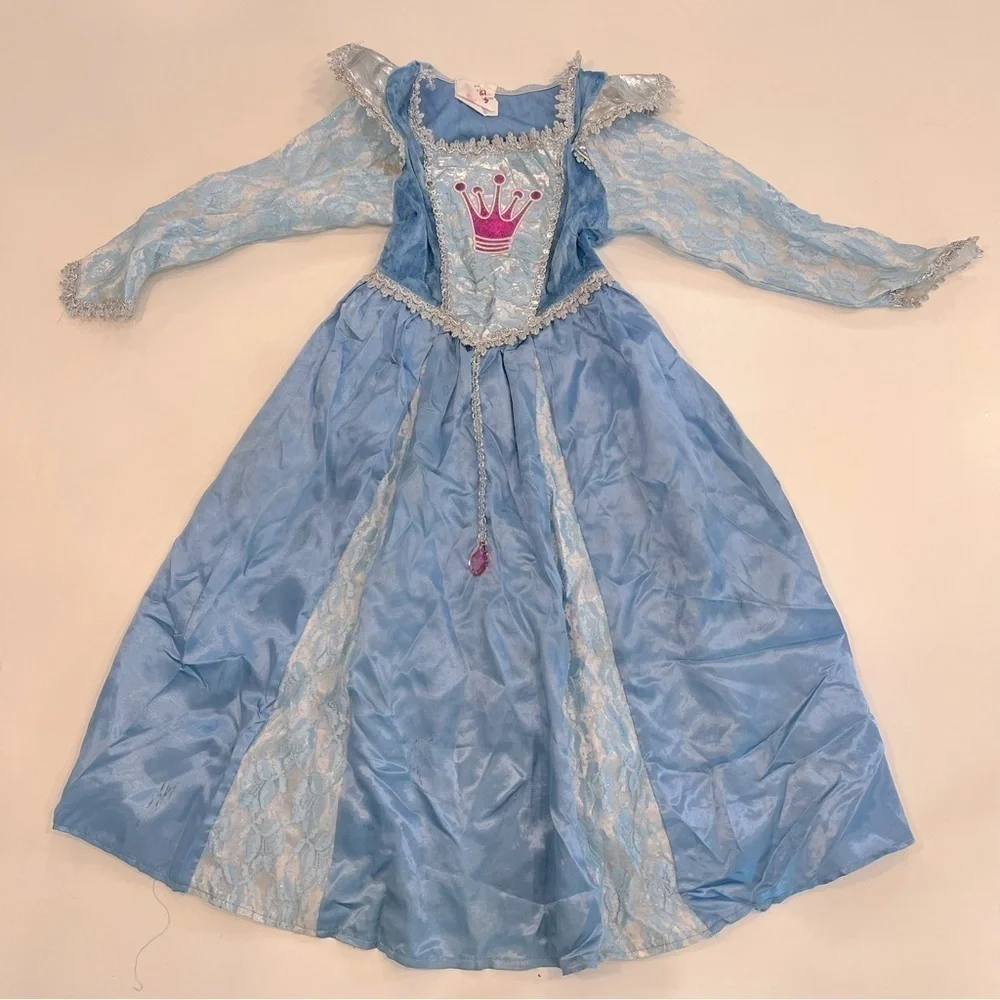 Cinderella princess dress costume